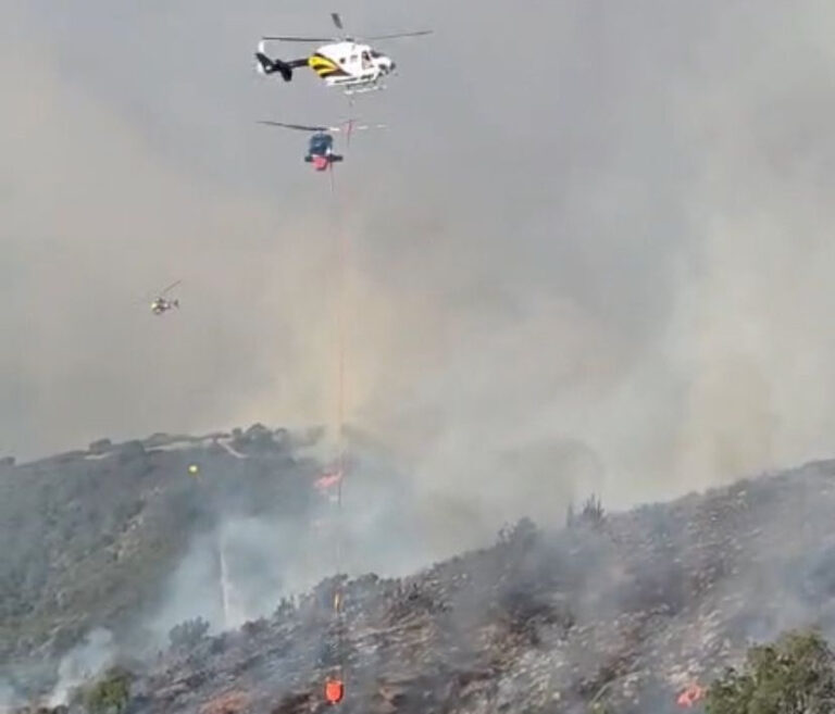 Incendio forestal en Limache arrasa con 250 hectáreas de vegetación