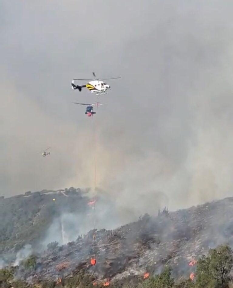 Incendio forestal en Limache arrasa con 250 hectáreas de vegetación