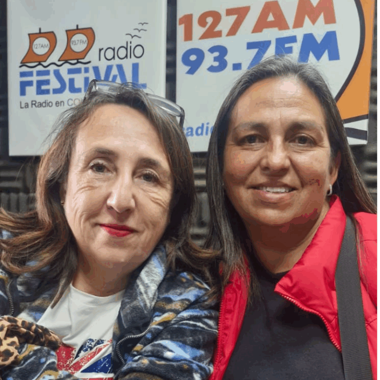 Nuevos módulos complican a emprendedores de Viña del Mar